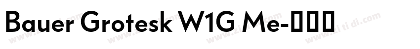 Bauer Grotesk W1G Me字体转换